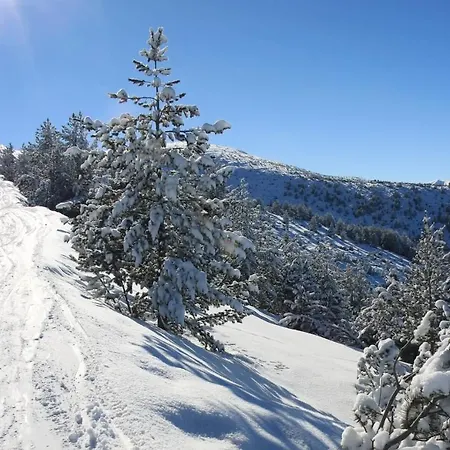 Royal Plaza Sleeps 4 Prime Location, Distance To Lift - 50m Appartement Borovets